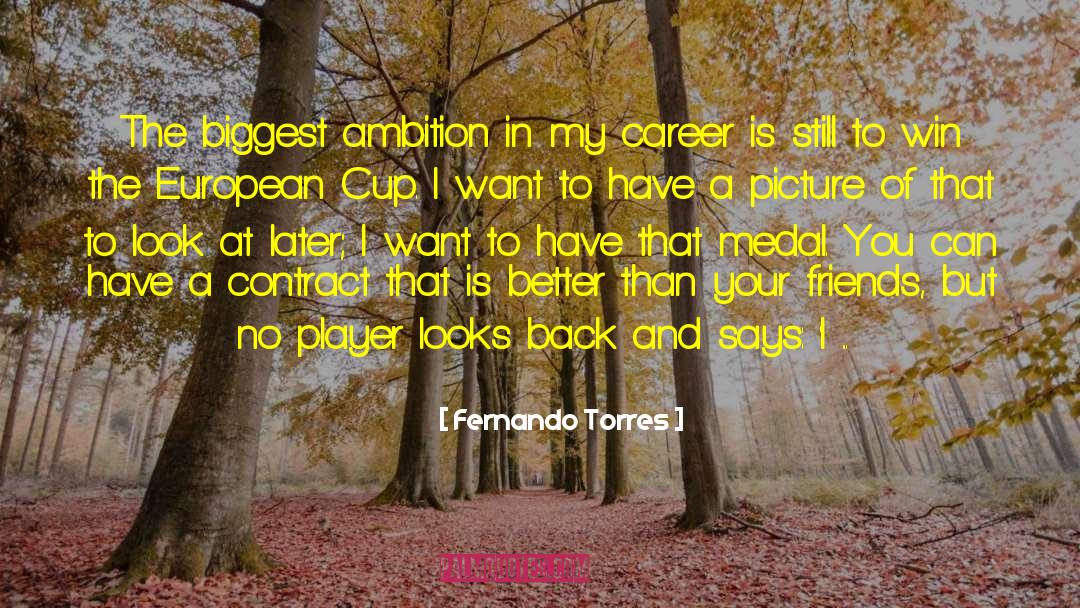 Fernando Torres Quotes: The biggest ambition in my