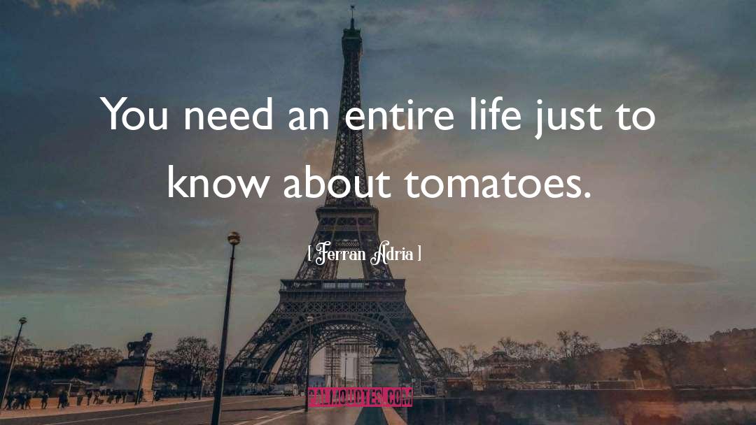 Ferran Adria Quotes: You need an entire life