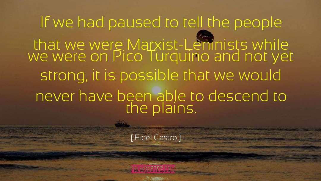 Fidel Castro Quotes: If we had paused to