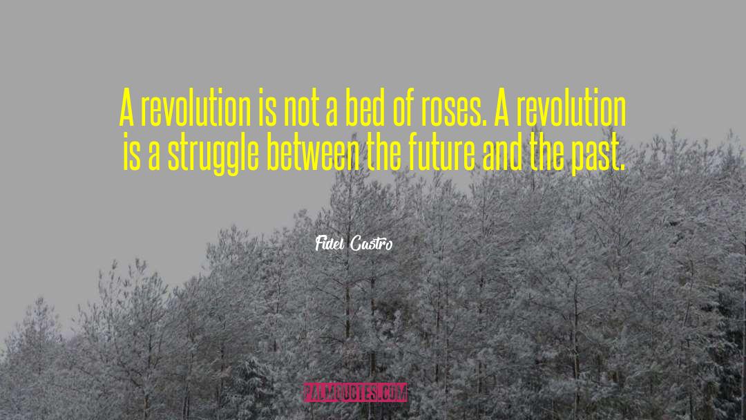 Fidel Castro Quotes: A revolution is not a