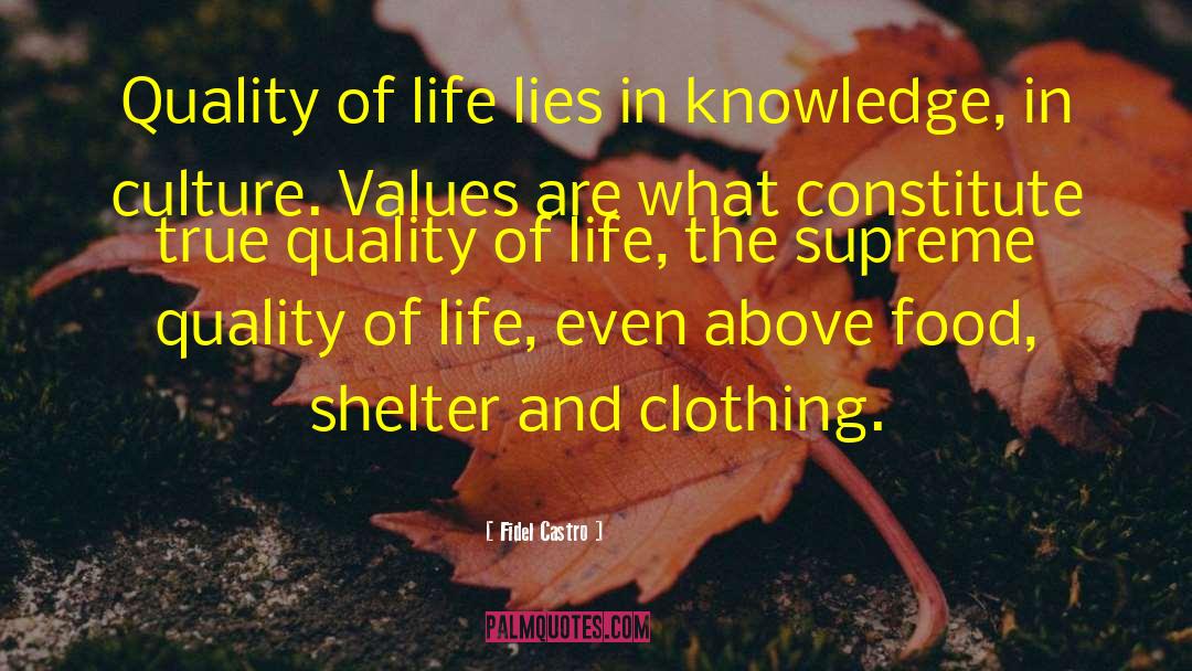 Fidel Castro Quotes: Quality of life lies in