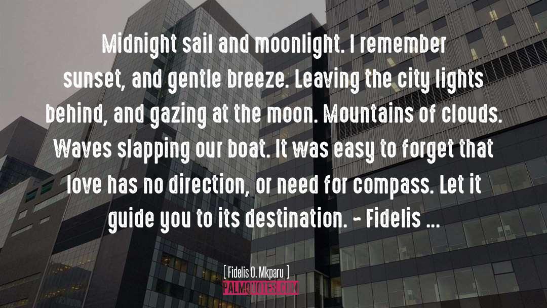 Fidelis O. Mkparu Quotes: Midnight sail and moonlight. I