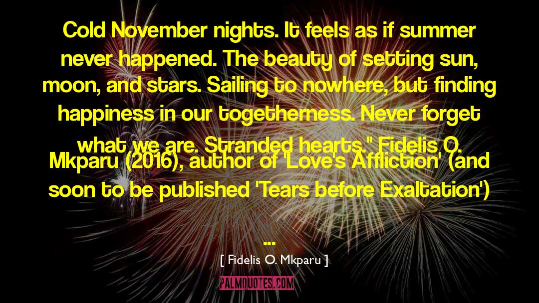 Fidelis O. Mkparu Quotes: Cold November nights. It feels