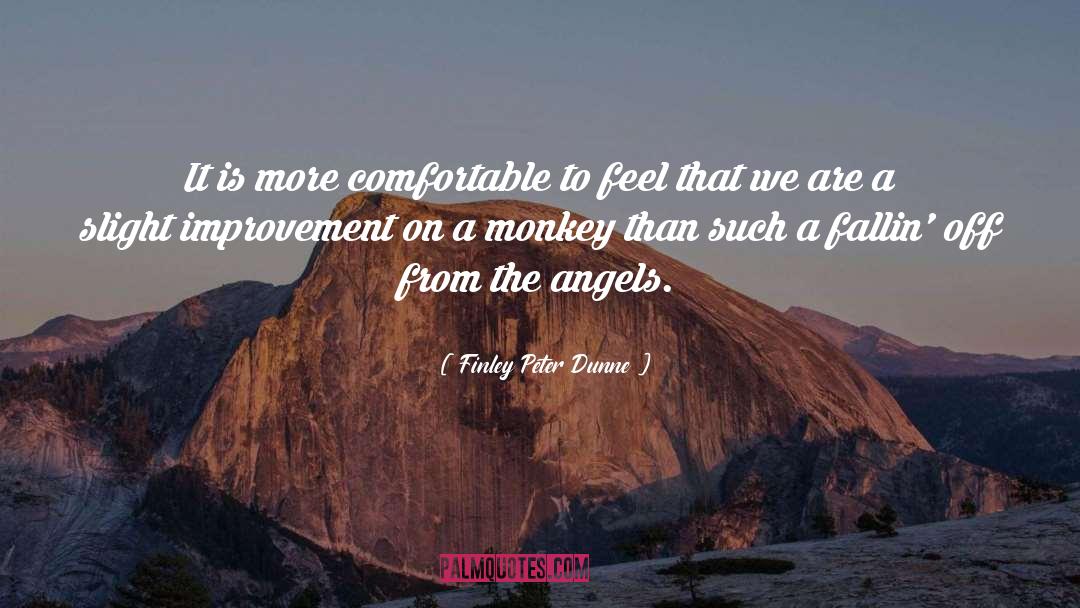 Finley Peter Dunne Quotes: It is more comfortable to