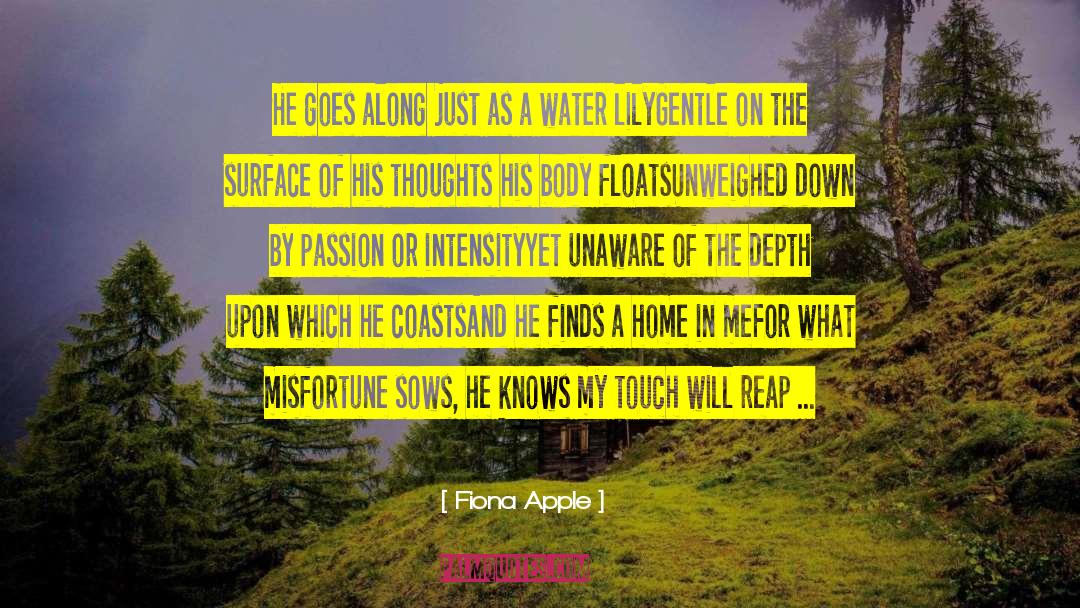 Fiona Apple Quotes: He goes along just as