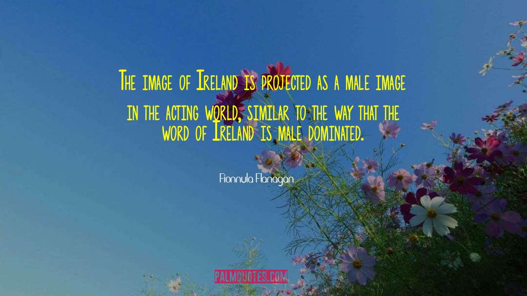 Fionnula Flanagan Quotes: The image of Ireland is