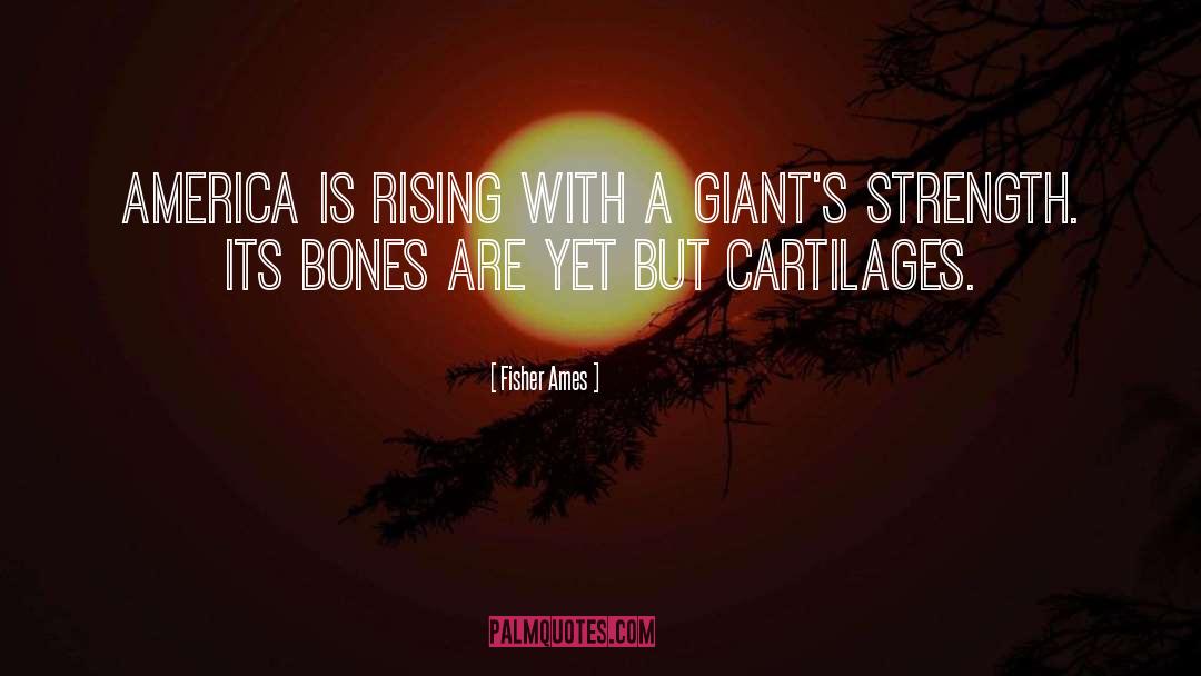 Fisher Ames Quotes: America is rising with a