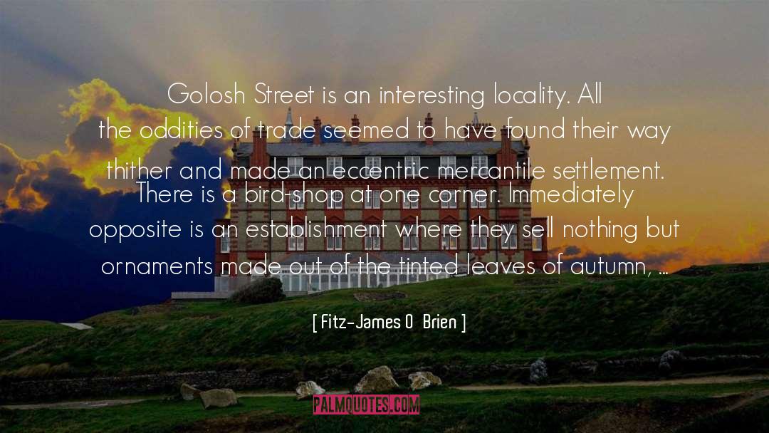 Fitz-James O'Brien Quotes: Golosh Street is an interesting