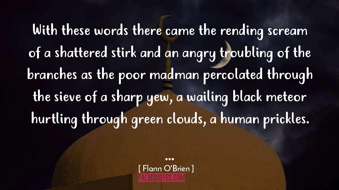 Flann O'Brien Quotes: With these words there came