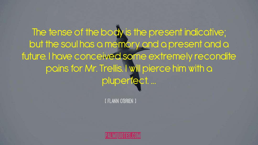 Flann O'Brien Quotes: The tense of the body