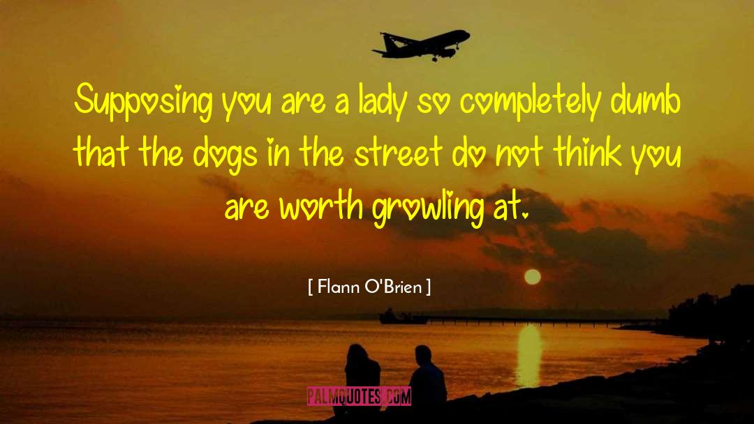 Flann O'Brien Quotes: Supposing you are a lady