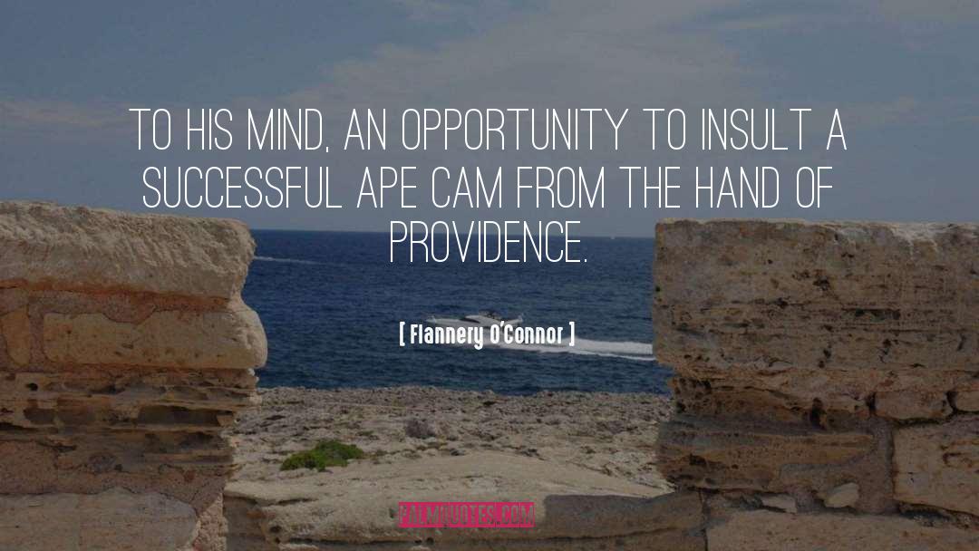 Flannery O'Connor Quotes: To his mind, an opportunity