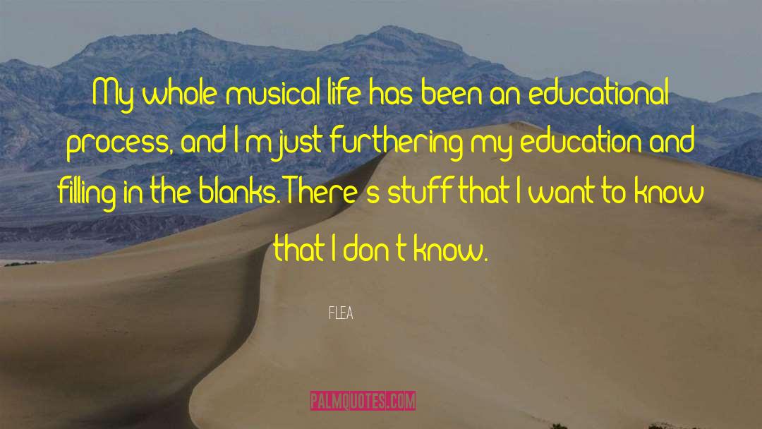 Flea Quotes: My whole musical life has