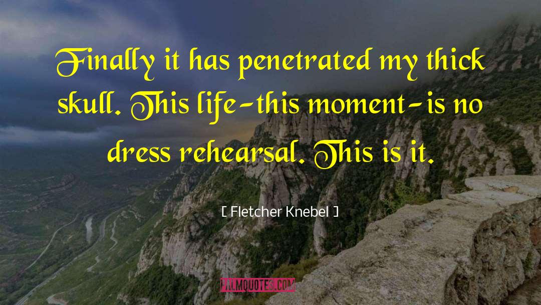 Fletcher Knebel Quotes: Finally it has penetrated my