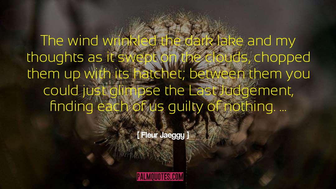 Fleur Jaeggy Quotes: The wind wrinkled the dark