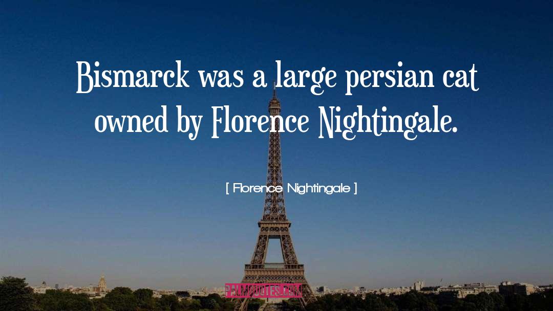 Florence Nightingale Quotes: Bismarck was a large persian