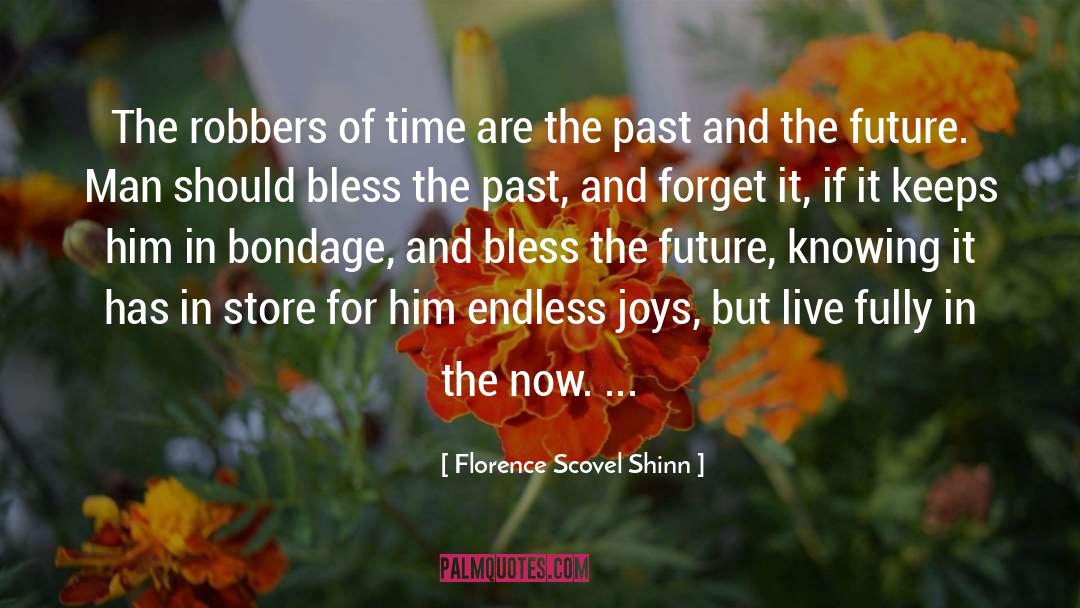 Florence Scovel Shinn Quotes: The robbers of time are