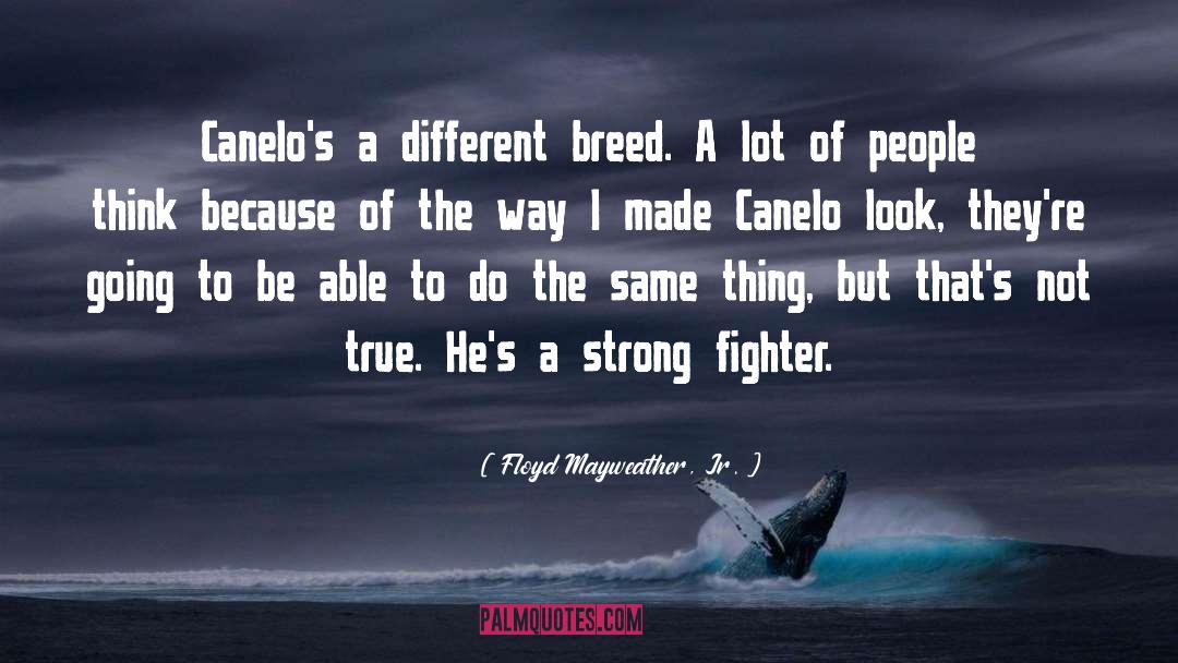 Floyd Mayweather, Jr. Quotes: Canelo's a different breed. A