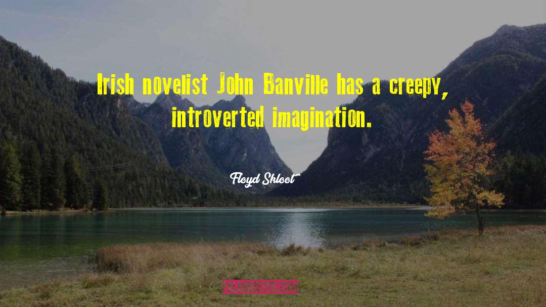Floyd Skloot Quotes: Irish novelist John Banville has