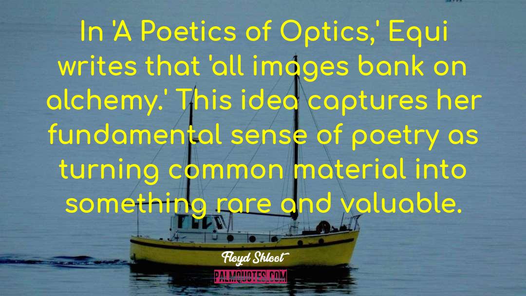 Floyd Skloot Quotes: In 'A Poetics of Optics,'