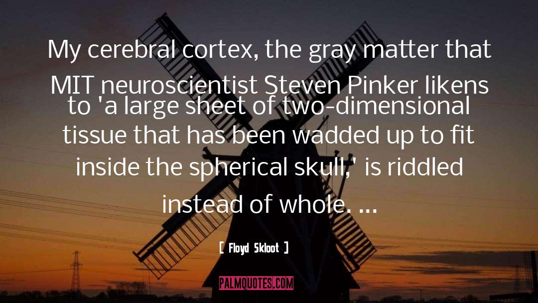 Floyd Skloot Quotes: My cerebral cortex, the gray