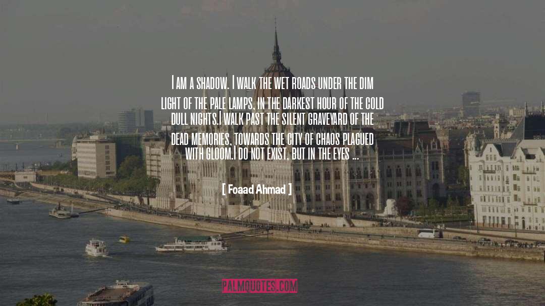 Foaad Ahmad Quotes: I am a shadow. I