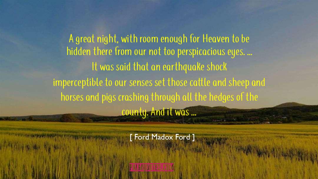 Ford Madox Ford Quotes: A great night, with room