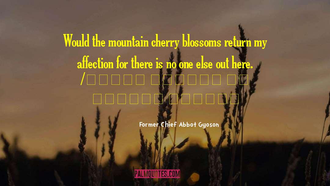 Former Chief Abbot Gyoson Quotes: Would the mountain cherry blossoms
