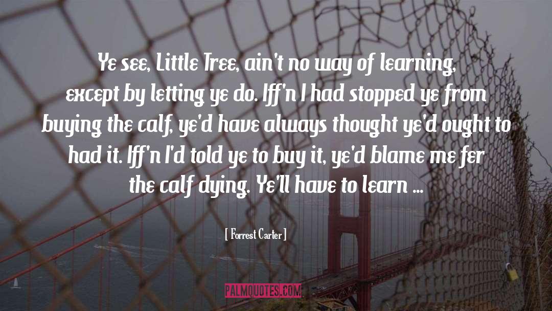 Forrest Carter Quotes: Ye see, Little Tree, ain't
