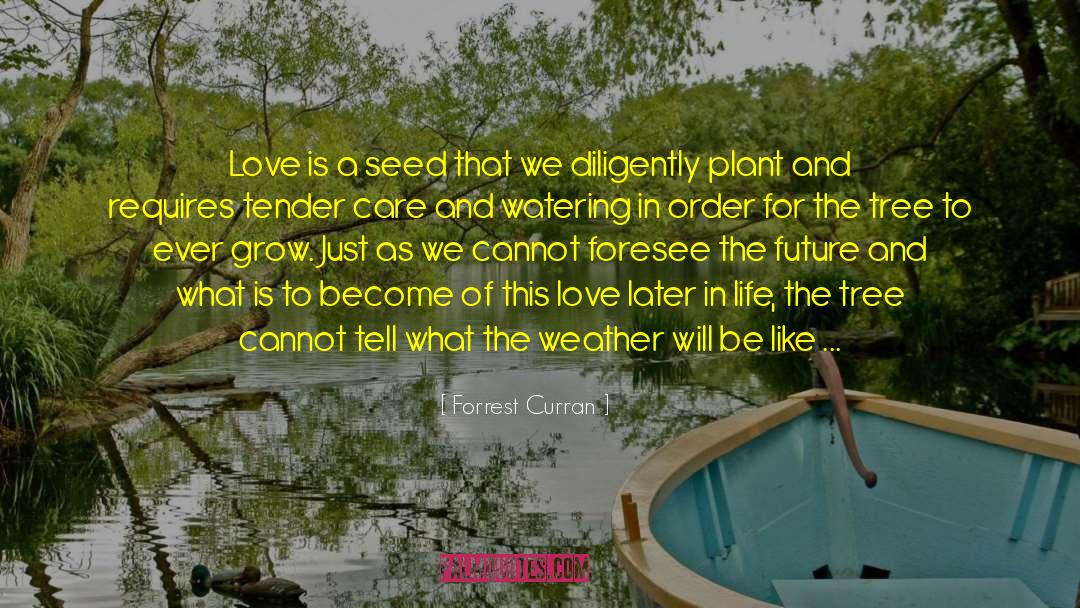 Forrest Curran Quotes: Love is a seed that