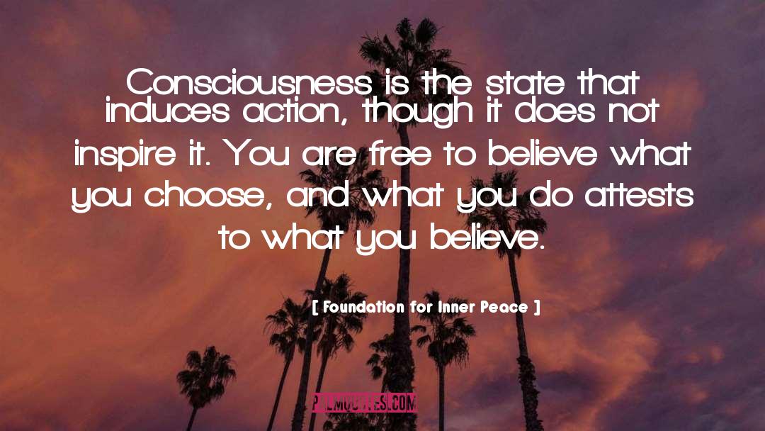 Foundation For Inner Peace Quotes: Consciousness is the state that