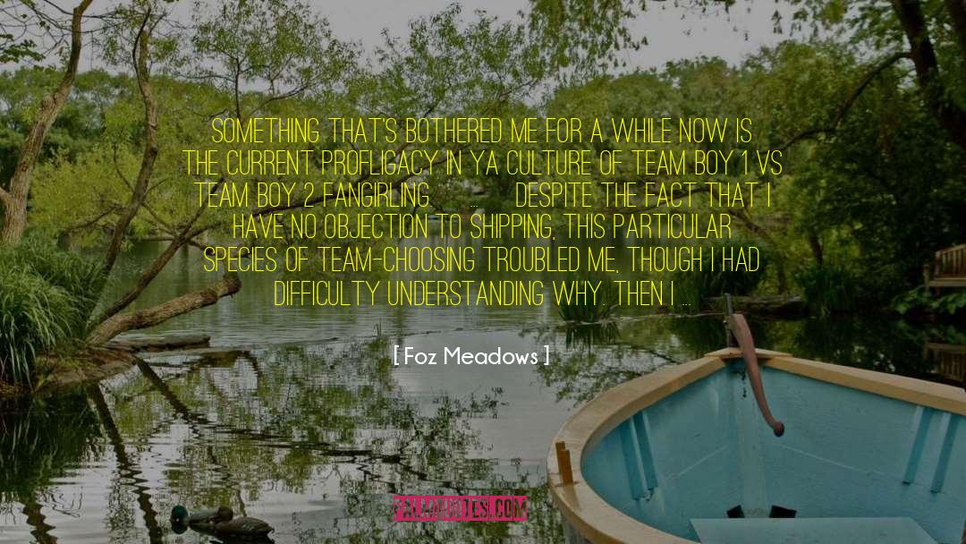 Foz Meadows Quotes: Something that's bothered me for