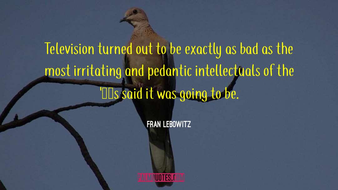 Fran Lebowitz Quotes: Television turned out to be