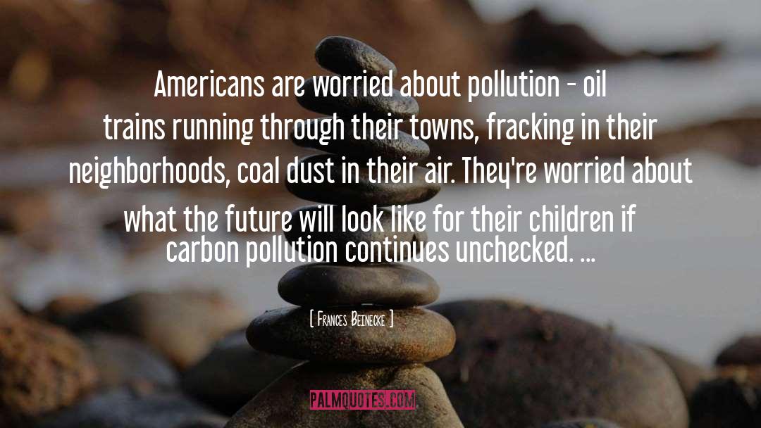 Frances Beinecke Quotes: Americans are worried about pollution