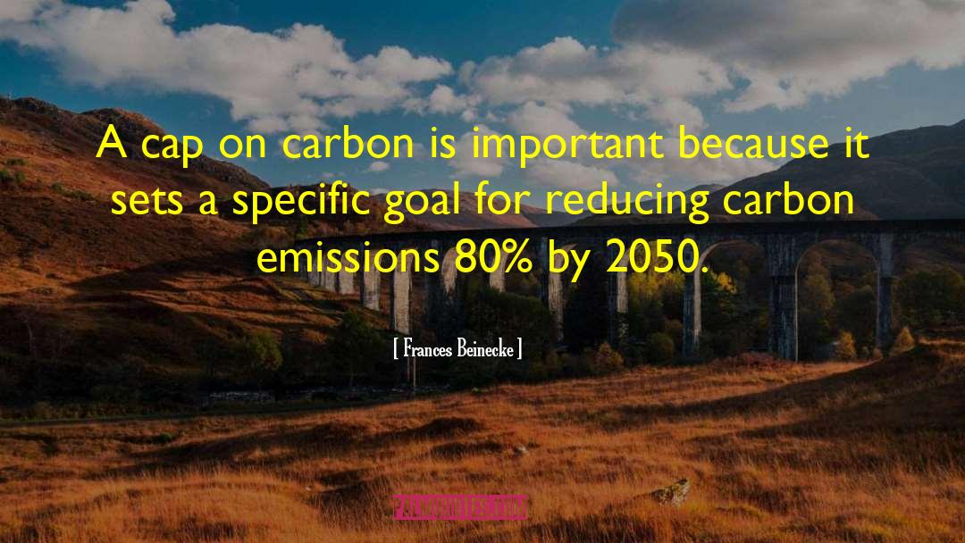 Frances Beinecke Quotes: A cap on carbon is