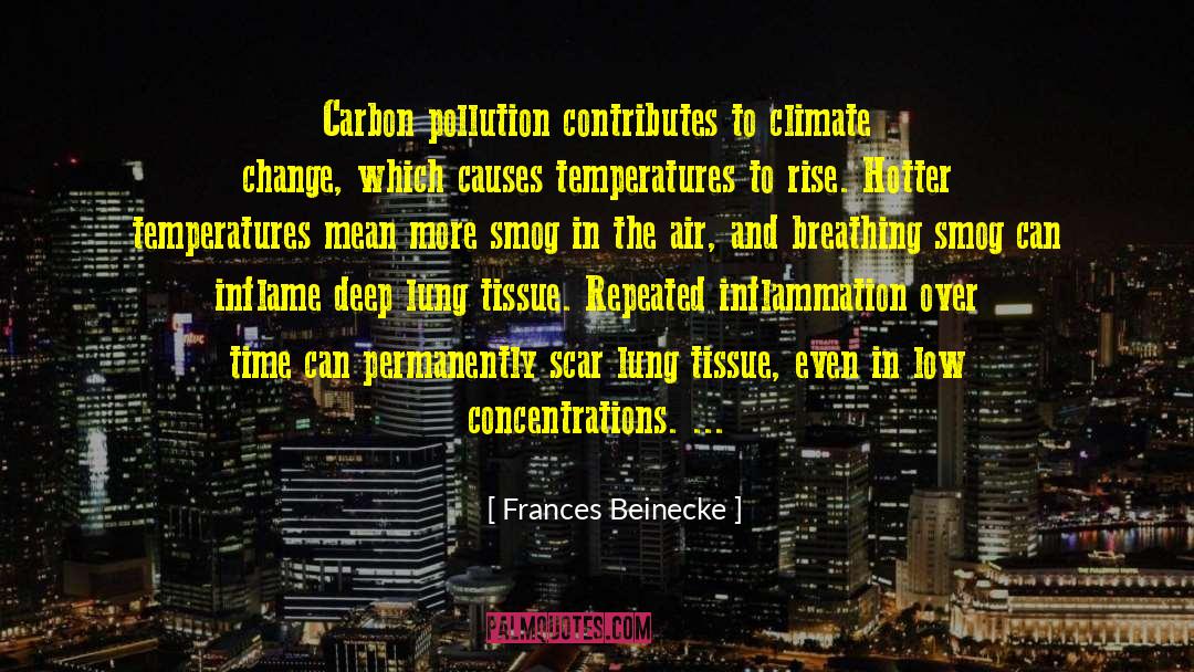 Frances Beinecke Quotes: Carbon pollution contributes to climate