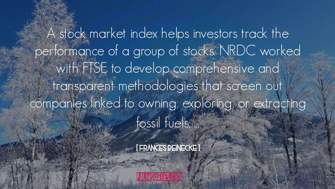 Frances Beinecke Quotes: A stock market index helps