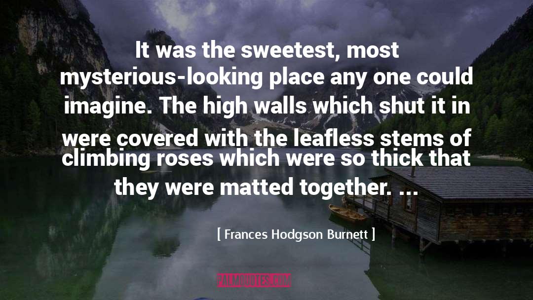 Frances Hodgson Burnett Quotes: It was the sweetest, most