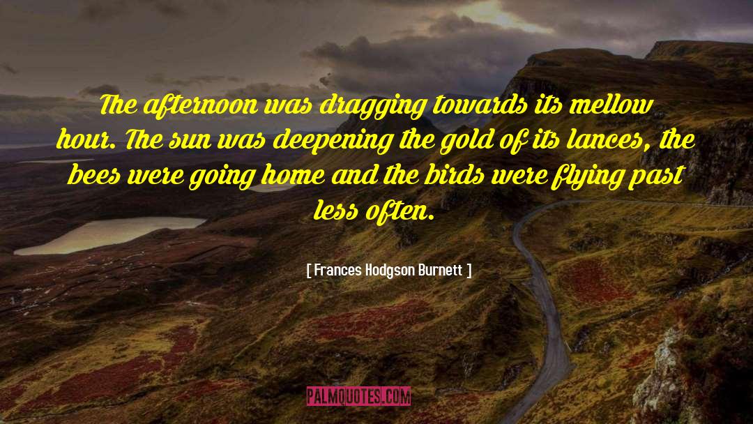 Frances Hodgson Burnett Quotes: The afternoon was dragging towards