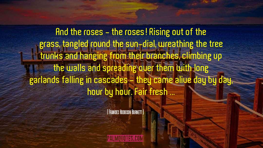 Frances Hodgson Burnett Quotes: And the roses - the