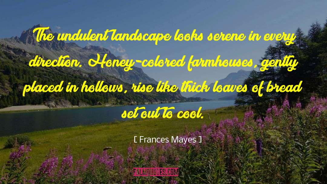 Frances Mayes Quotes: The undulent landscape looks serene