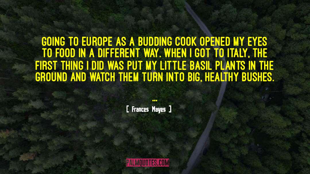 Frances Mayes Quotes: Going to Europe as a