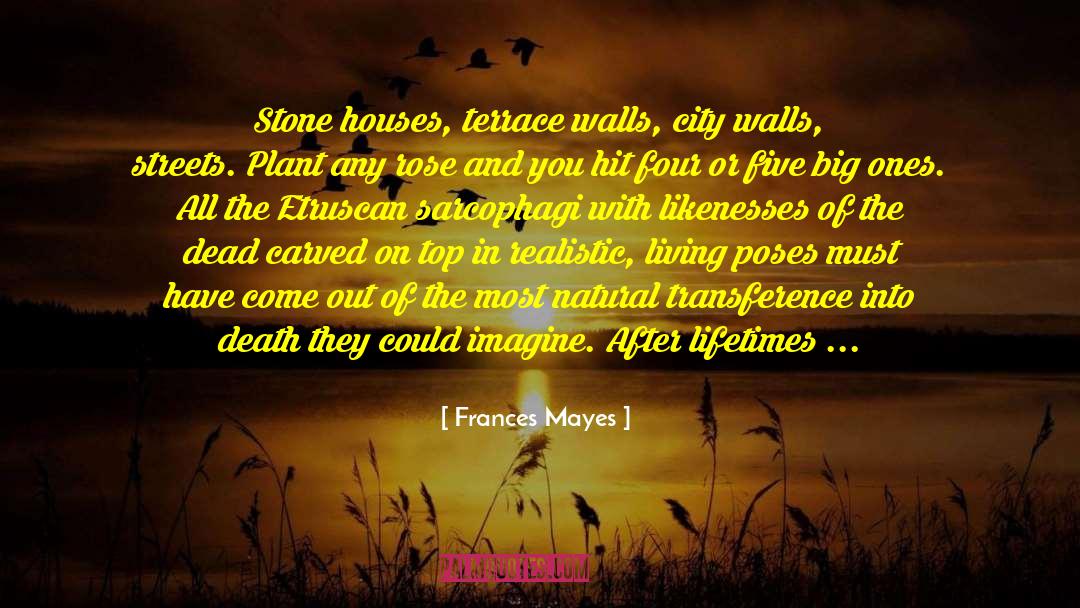 Frances Mayes Quotes: Stone houses, terrace walls, city