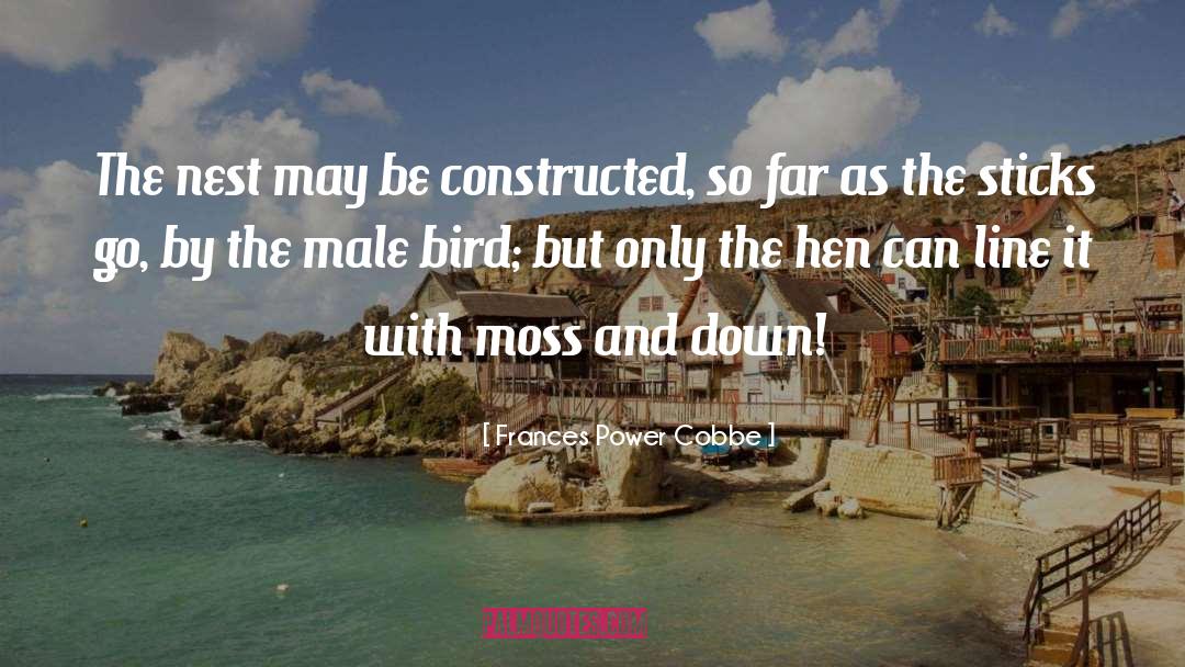 Frances Power Cobbe Quotes: The nest may be constructed,