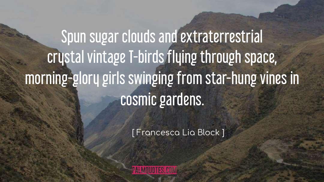 Francesca Lia Block Quotes: Spun sugar clouds and extraterrestrial