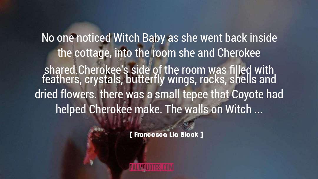 Francesca Lia Block Quotes: No one noticed Witch Baby