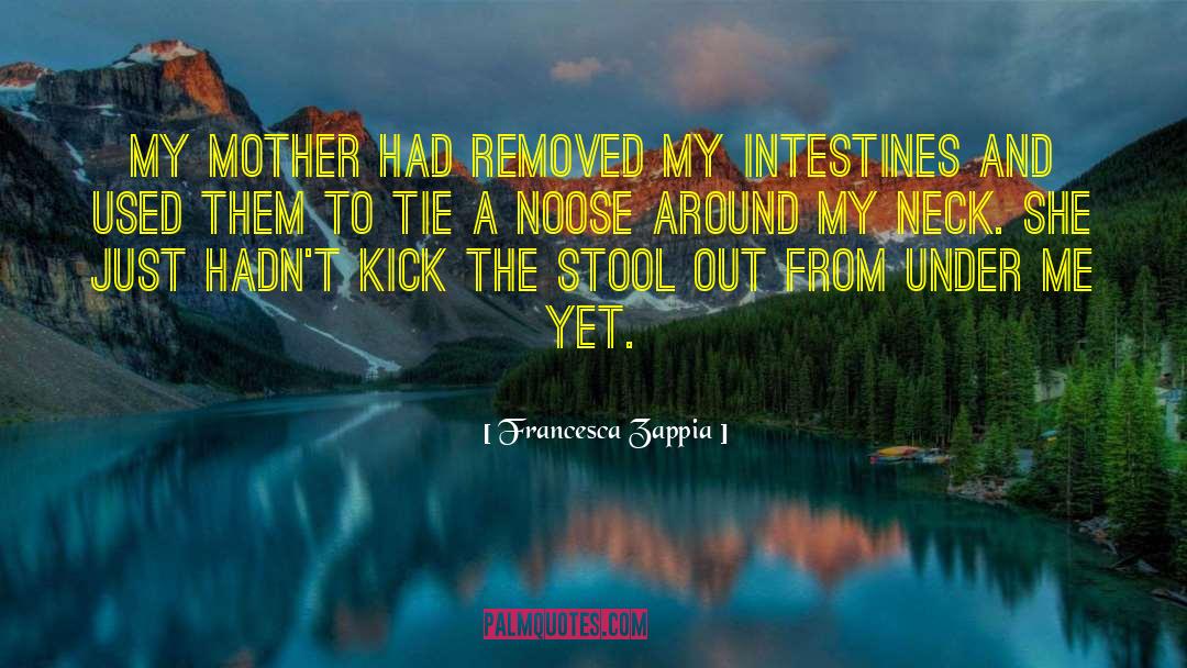 Francesca Zappia Quotes: My mother had removed my