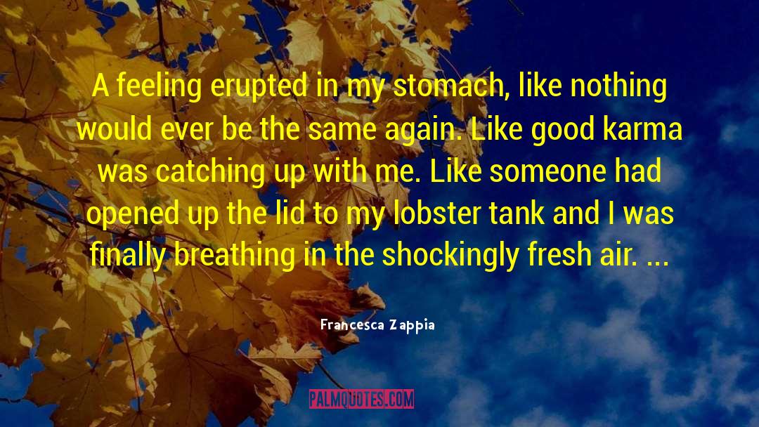 Francesca Zappia Quotes: A feeling erupted in my