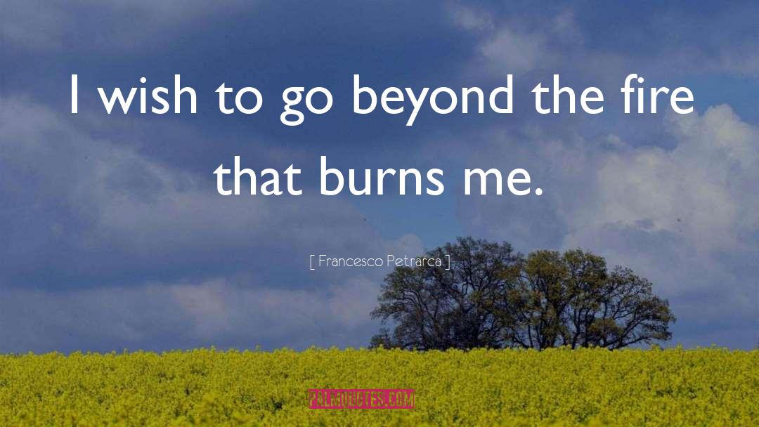 Francesco Petrarca Quotes: I wish to go beyond