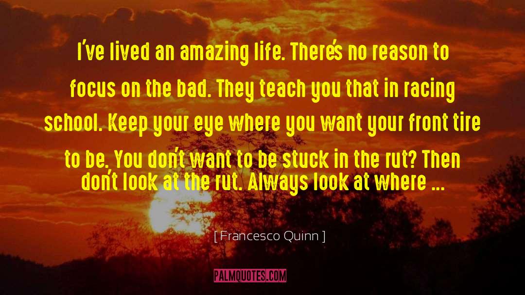 Francesco Quinn Quotes: I've lived an amazing life.